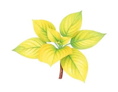 AI-generated watercolor illustration of Hosta 'Honey Brickle' (not a photograph)