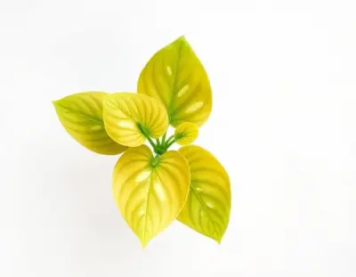 AI-generated watercolor illustration of Hosta 'Hush Puppie' (not a photograph)