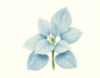 AI-generated watercolor illustration of Hosta 'Irische See' (not a photograph)