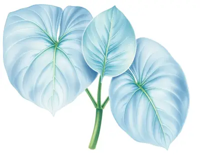 AI-generated watercolor illustration of Hosta 'Jack of Diamonds' (not a photograph)