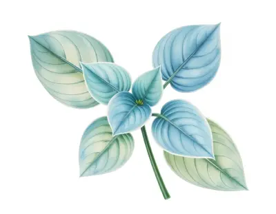 AI-generated watercolor illustration of Hosta 'Job' (not a photograph)