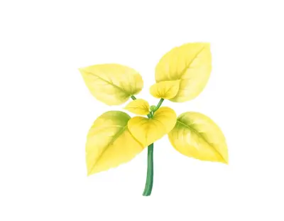 AI-generated watercolor illustration of Hosta 'Joe the Plumber' (not a photograph)