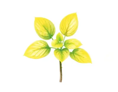 AI-generated watercolor illustration of Hosta 'Keepsake' (not a photograph)