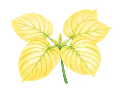 AI-generated watercolor illustration of Hosta 'King's Ransom' (not a photograph)