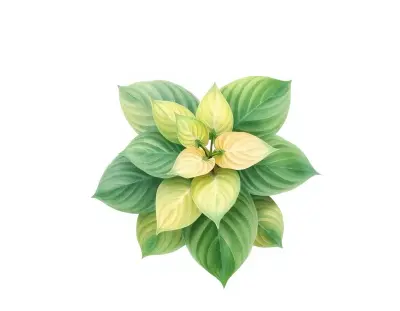 AI-generated watercolor illustration of Hosta 'Kiwi Blue Flash' (not a photograph)