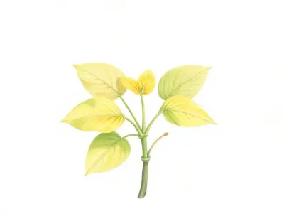 AI-generated watercolor illustration of Hosta 'Kiwi Gold Star' (not a photograph)