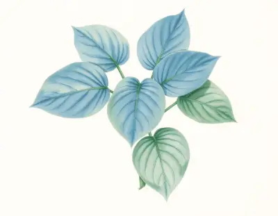AI-generated watercolor illustration of Hosta 'Lady Luck' (not a photograph)