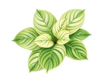 AI-generated watercolor illustration of Hosta 'Lakeside Ebony Echoes' (not a photograph)