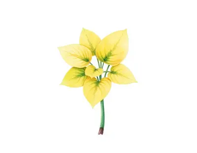 AI-generated watercolor illustration of Hosta 'Lakeside Hoola Hoop' (not a photograph)