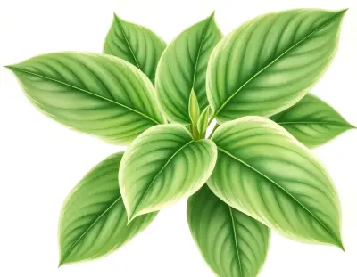 AI-generated watercolor illustration of Hosta 'Lakeside San Kao' (not a photograph)