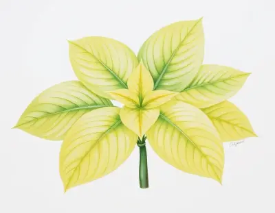 AI-generated watercolor illustration of Hosta 'Laura and Darrell' (not a photograph)