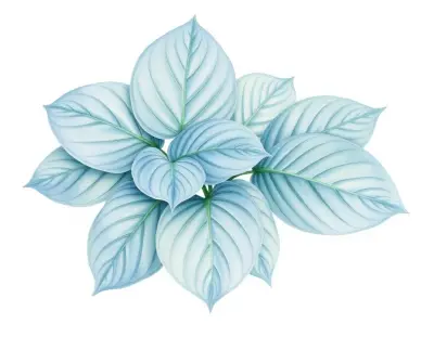 AI-generated watercolor illustration of Hosta 'Lavender Stocking' (not a photograph)