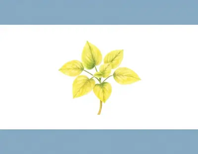 AI-generated watercolor illustration of Hosta 'Lemontini' (not a photograph)