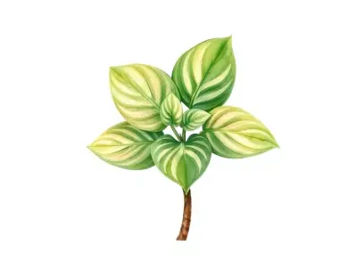 AI-generated watercolor illustration of Hosta 'Leon' (not a photograph)
