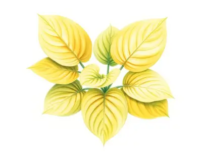 AI-generated watercolor illustration of Hosta 'Leprechaun Lace' (not a photograph)