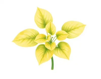 AI-generated watercolor illustration of Hosta 'Little Aurora' (not a photograph)