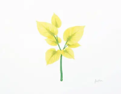 AI-generated watercolor illustration of Hosta 'Little Lulu' (not a photograph)