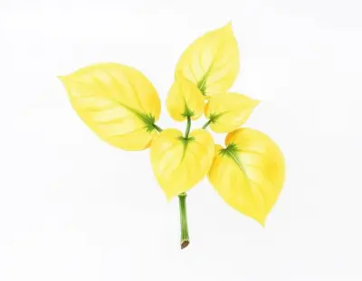 AI-generated watercolor illustration of Hosta 'Lodestar' (not a photograph)