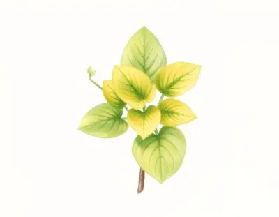 AI-generated watercolor illustration of Hosta 'Longboard Stringer' (not a photograph)