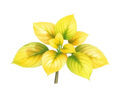 AI-generated watercolor illustration of Hosta 'Love Poem' (not a photograph)