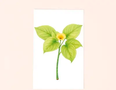 AI-generated watercolor illustration of Hosta 'Lyme Regis' (not a photograph)