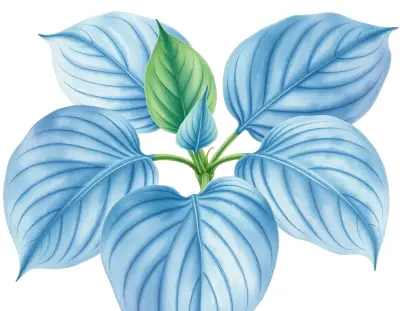 AI-generated watercolor illustration of Hosta 'MacBenedict' (not a photograph)