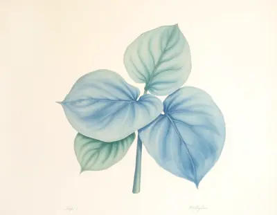 AI-generated watercolor illustration of Hosta 'Magnificent Obsession' (not a photograph)