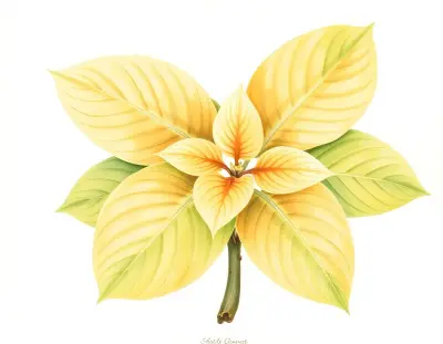 AI-generated watercolor illustration of Hosta 'Majesty' (not a photograph)