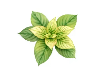 AI-generated watercolor illustration of Hosta 'Margaret' (not a photograph)
