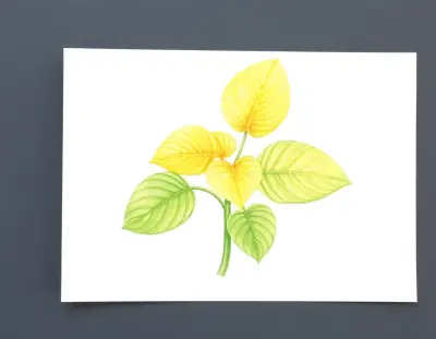 AI-generated watercolor illustration of Hosta 'Marlu's Evelyn Lucile' (not a photograph)