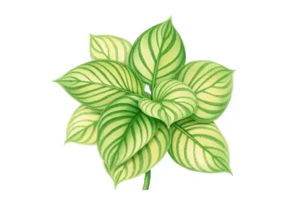 AI-generated watercolor illustration of Hosta 'Mesa Fringe' (not a photograph)