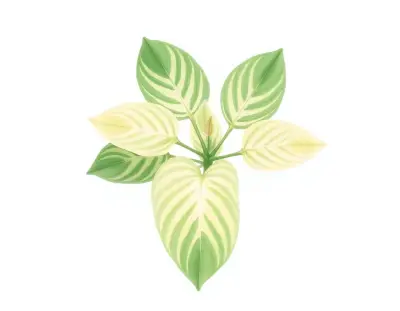 AI-generated watercolor illustration of Hosta 'Misty Morning' (not a photograph)