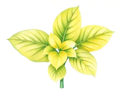 AI-generated watercolor illustration of Hosta 'Money Honey' (not a photograph)
