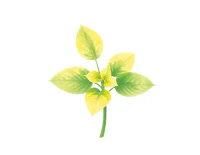 AI-generated watercolor illustration of Hosta 'Moolah' (not a photograph)