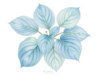 AI-generated watercolor illustration of Hosta 'Moon Lily' (not a photograph)