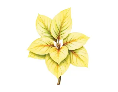 AI-generated watercolor illustration of Hosta 'My Fair Katie' (not a photograph)
