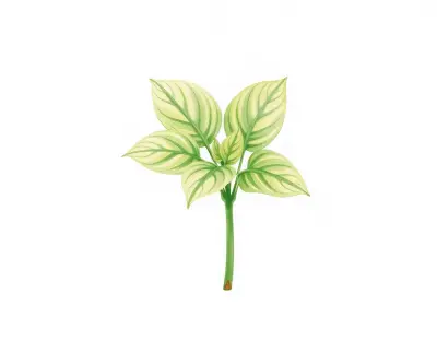 AI-generated watercolor illustration of Hosta 'New Wave' (not a photograph)