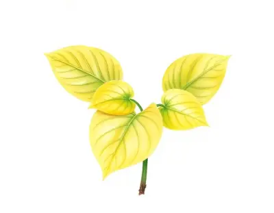 AI-generated watercolor illustration of Hosta 'Nicholas James' (not a photograph)