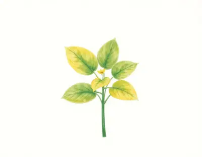 AI-generated watercolor illustration of Hosta 'Omatsu-san Nishiki' (not a photograph)