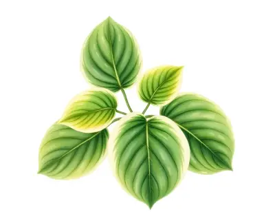 AI-generated watercolor illustration of Hosta 'Pamela San Martin' (not a photograph)