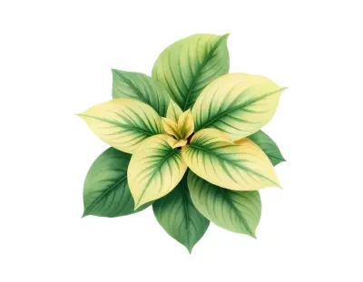AI-generated watercolor illustration of Hosta 'Patent Leather' (not a photograph)