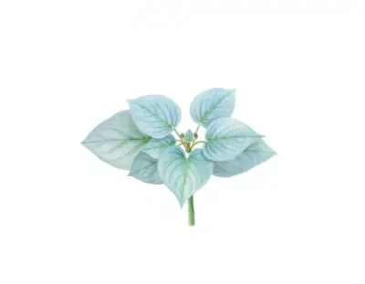 AI-generated watercolor illustration of Hosta 'Pearl Buttons' (not a photograph)