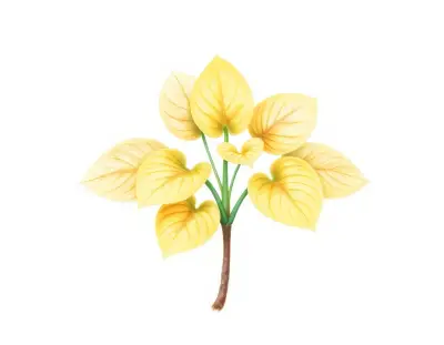 AI-generated watercolor illustration of Hosta 'PeeDee Gold Flash' (not a photograph)