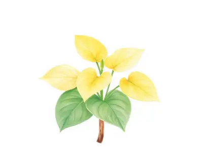 AI-generated watercolor illustration of Hosta 'Pete's Mystery' (not a photograph)