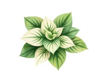 AI-generated watercolor illustration of Hosta 'Pete's Slon-he' (not a photograph)