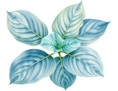 AI-generated watercolor illustration of Hosta 'Polly Bishop' (not a photograph)