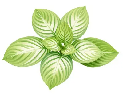 AI-generated watercolor illustration of Hosta 'Pot Black' (not a photograph)