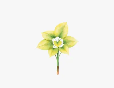 AI-generated watercolor illustration of Hosta 'Prairie Glow' (not a photograph)