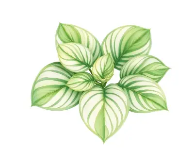 AI-generated watercolor illustration of Hosta 'Purple Profusion' (not a photograph)