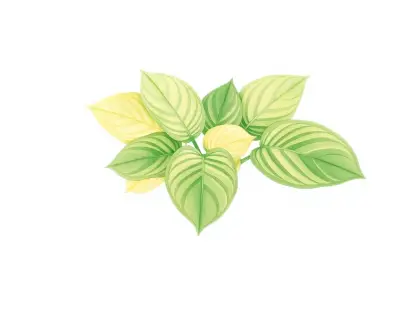 AI-generated watercolor illustration of Hosta 'Raspatini' (not a photograph)
